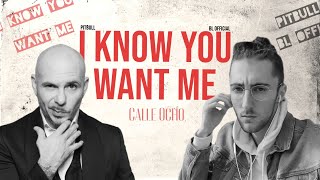 Pitbull - I Know You Want Me (Calle Ocho) (BL Official Remix)