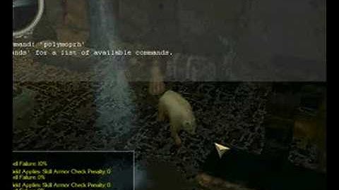 Neverwinter Nights 2 polymorph cheat