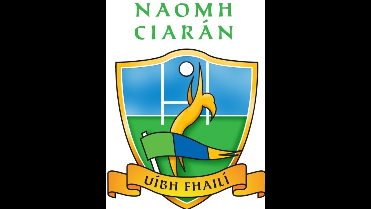 2019 Naomh Ciaran All Ireland Intermediate Club Final