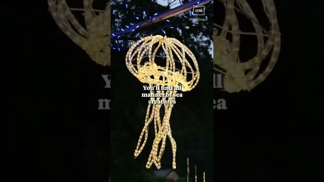 Shore Acres holiday lights return to the southern Oregon coast