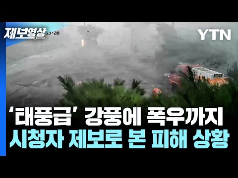 [제보영상] ‘태풍급’ 강풍에 폭우까지... 시청자 제보로 본 피해 상황 / YTN