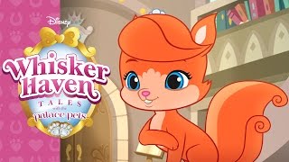 Treasure's Island | Whisker Haven Tales with the Palace Pets | Disney Junior