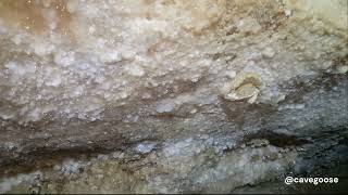 Gypsum Formations in a Kentucky Cave