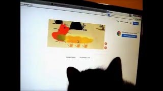 Willow and the Thanksgiving Google Doodle