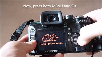 How to find the shutter count on any Olympus Four Thirds camera?