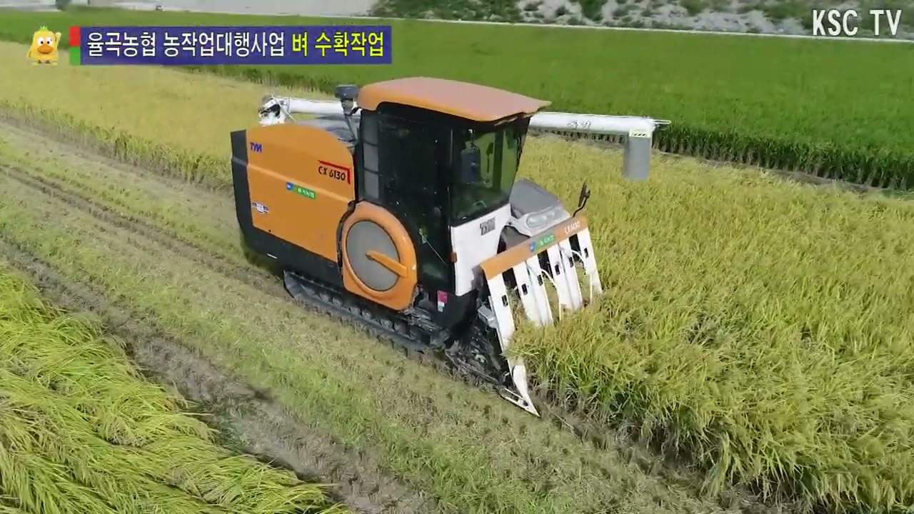 율곡농협 농작업대행사업 벼 수확작업