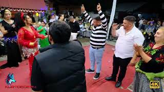 Kurtdede5Medine & Efe Koç Roman Havası Oynuyor 🎶 Böyle Coşku Görülmedi 4K Kurt Prodüksi̇yon