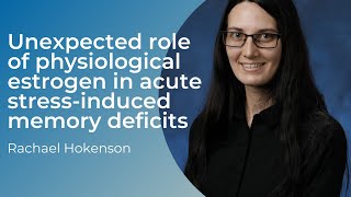 Unexpected role of physiological estrogen with Rachael Hokenson