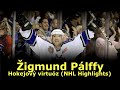 Hokejový virtuóz - Žigmund Pálffy (NHL Highlights)