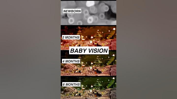 Baby vision from birth to 6 months #parenting #newborn #baby #neuroscience