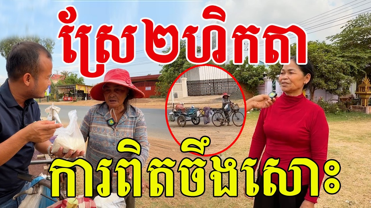 ស្រែ២ហិកតា​ ការពិតចឹងសោះ​ មិនចង់ឱ្យគេលំបាកជាមួយគាត់