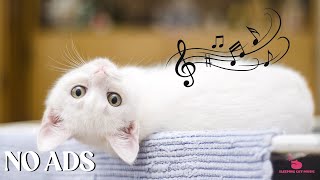 12 Hours Of Sleep Music For Cat 🐾 Soft Melodies for Deep Relaxation and Sleeping Cats screenshot 5
