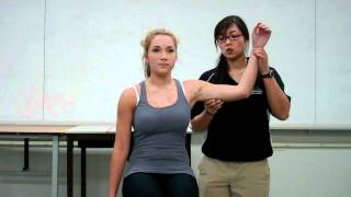 Allen Test (Halstead Maneuver)