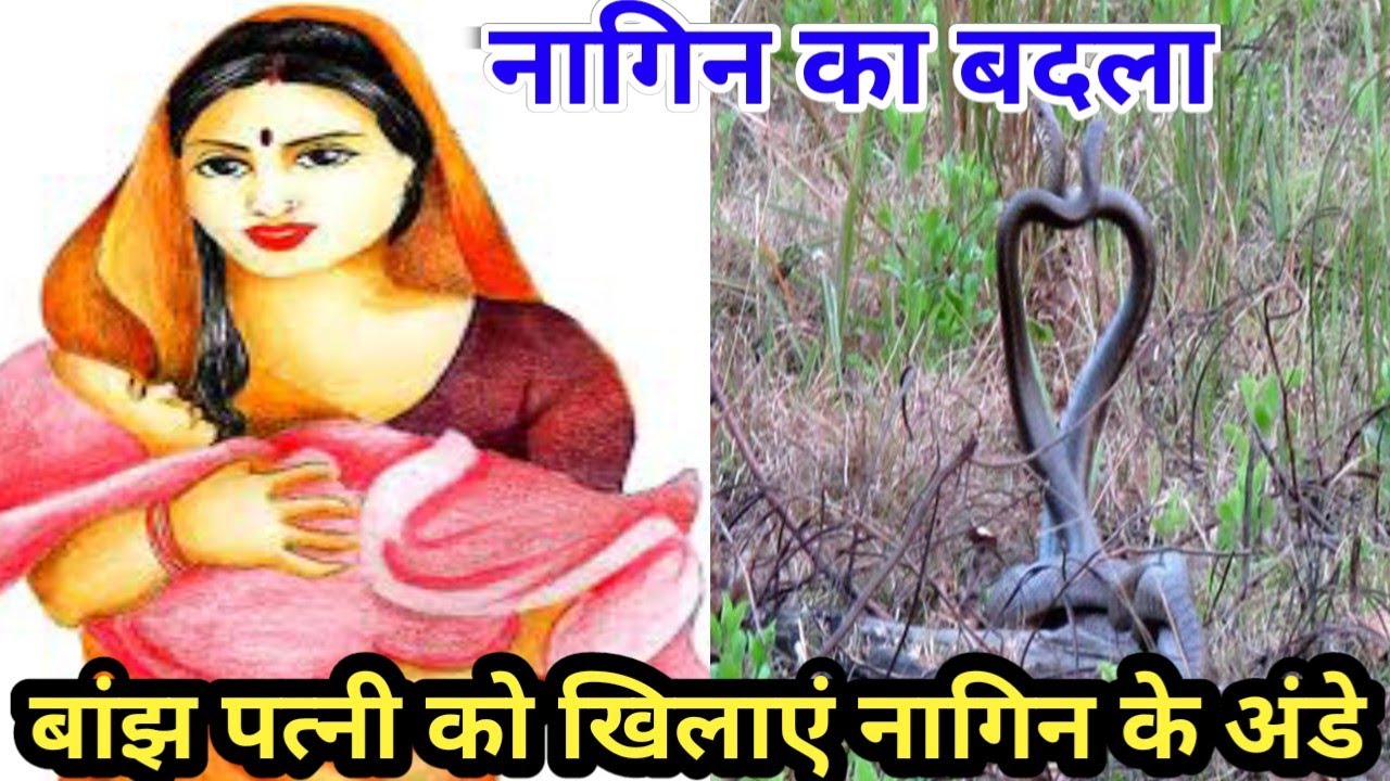 बांझ पत्नी को खिलाएं नागिन के अण्डे/नागिन ने लिया बदला/मिला जिंदगी भर का पछतावा/@apni sanskriti