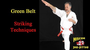 Green Belt Striking Techniques - Hiscoe Jiu-Jitsu