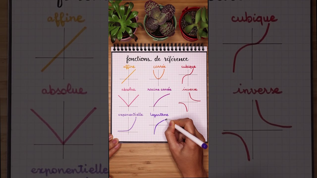  Les Fonctions De R F Rence Conna Tre Maths