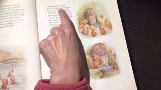 Squirrel Nutkin - Read children's book Beatrix Potter asmr