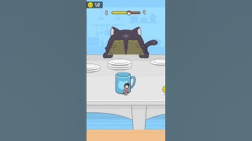 Hide and Seek: Cat Escape! – Level 8