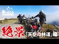 【 四国 の絶景 】雲の上を征く 天空の林道 ！ 高いところツーリング1 天空の林道編 /  グロム ツーリング モトブログ