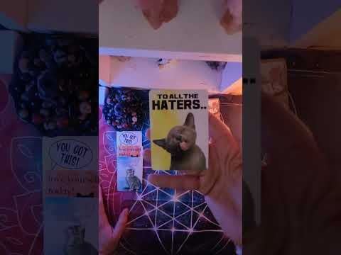 Collective affirmation, Claim❤️ #highlights #tarot #motivation #inspiration #affirmations #subscribe
