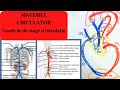 ADMITERE MEDICINA: SISTEMUL CIRCULATOR 3: Vasele de sange si circulatia