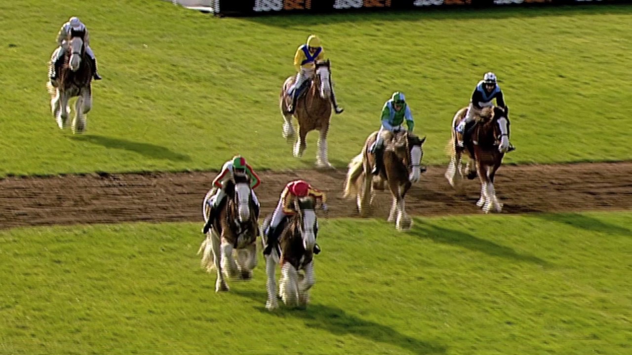 2016 Annual Clydesdale Stakes - Exeter Racecourse - Racing TV