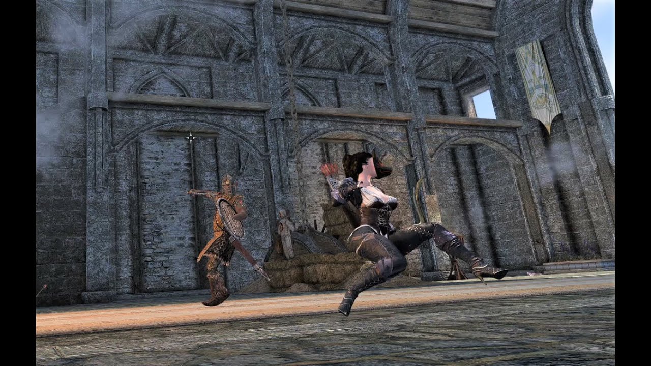 스카이림SE 스무스 모션팩 SKYRIM SE Smooth Motion Pack : 네이버 블로그