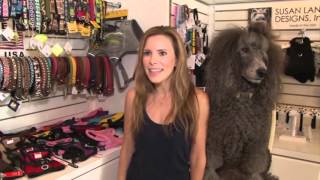 Some Valley pet-store owners not worried about potential PetSmart and Petco merger
