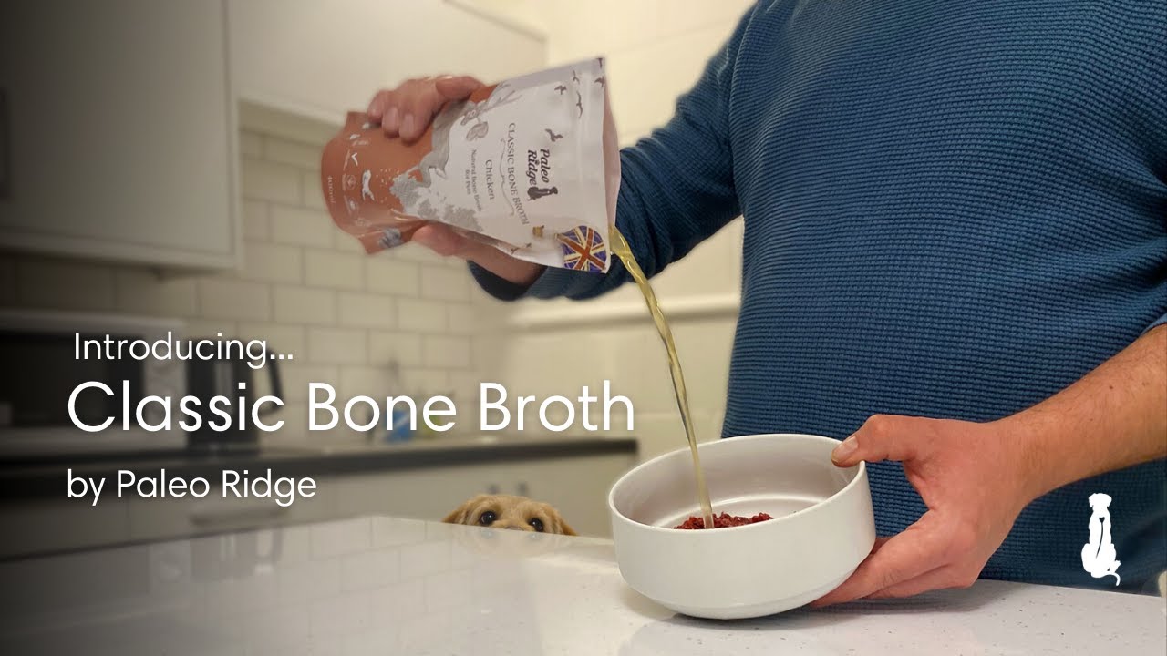Classic Bone Broth by Paleo Ridge