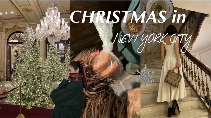 Christmas in NYC | Tea at the Plaza, Bryant Park, ...