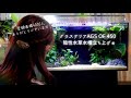 GEXグラステリアAGS-OF-450 陰性水草水槽立ち上げ！アクアリウム❀淡水水槽