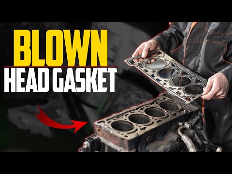 Head Repair Cost