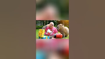 Hùng trọc tặng hộp quà chơi khăm Capy và cái kết #capybara #shorts