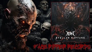 REDVI: STELLAR RAPTURE [FACE RIPPER RECORDS REACTION]