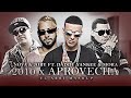 2010 x Aprovecha - Mora x Nova &amp; Jory x Daddy Yankee (El Arbi Mashup)