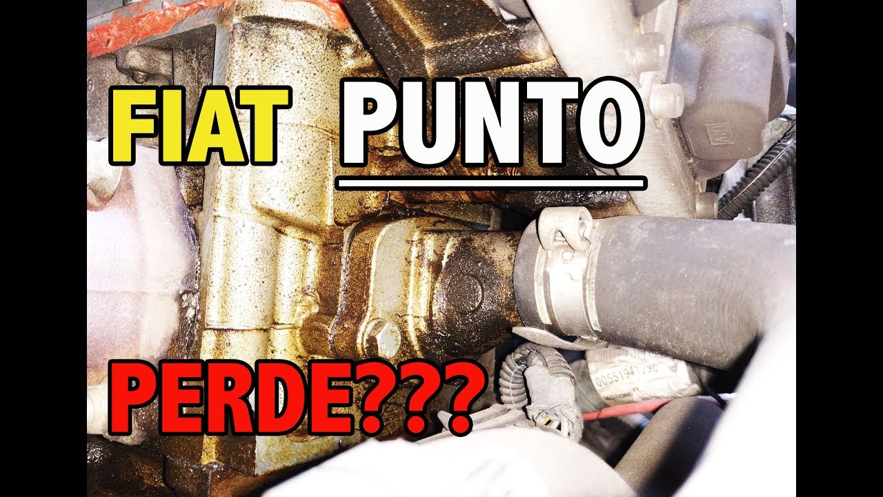 auto-perde-olio-come-ripararla-da-soli-guida-completa-youtube