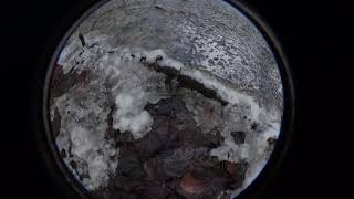 Amsterdamse Bos 121217 Soft Cold