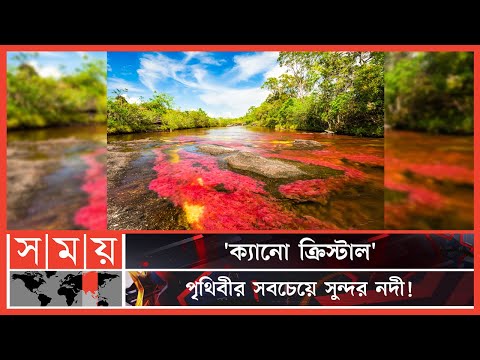 ভিডিও: মগডালেনা নদী কলম্বিয়ার জাতীয় প্রতীক