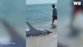 Famous A group of men helped a stranded mako shark back into the water on Pensacola beach, Florida Net Worth