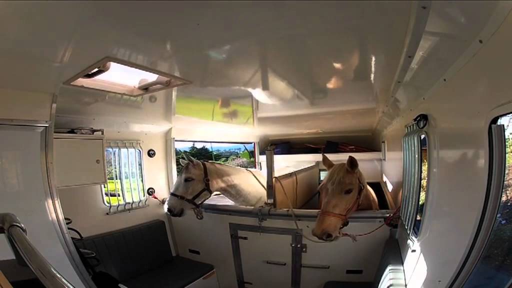 Boekwinkel oud Muf Horse Vans on Horsing Around NZ Program - YouTube