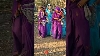 16 hath sadi pehri gharwalo | anil piplaj adivasi song 2024 | adivasi shadi video