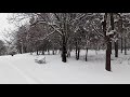 Parcul Pantelimon Bucharest, Winter 2019 - Beautiful Snow