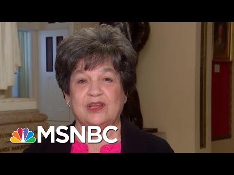 Representative Lois Frankel On Jeffrey Epstein, Trump’s Racist Rhetoric | Velshi & Ruhle | MSNBC