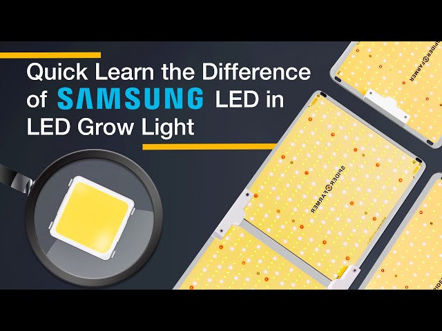 Mince Indstilling tøj Quick Learn the Difference of Samsung LM301H LM301B LM301D 2835 in LED Grow  Light - YouTube
