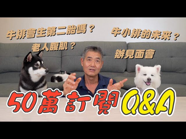 『50萬訂閱QA』牛小排的未來？牛排會不會生第二胎？即將辦見面會