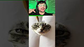 Como desenhar um gato muito realista! 🐱
