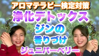 【これで合格】浄化デトックスと言えばこれ！ジンの香りづけにも使用！ジュニパーベリー精油！聴き流し◎アロマテラピー検定対策◎アロマ初心者にも！勉強法/問題/独学/無料