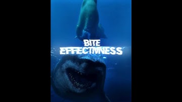 Sperm Whale vs Megalodon