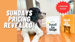 Sundays Pricing Revealed & How Much to Feed Your Dog  New Turkey Recipe Review | MealFinds