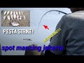 Mancing disini ga bakal bengong!!|muara angke jakarta